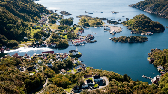 Artificial reefs to ensure biodiversity