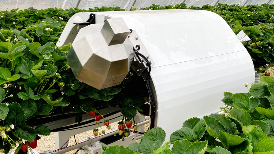 MålBær – Sensors for autonomous precision harvesting of strawberries