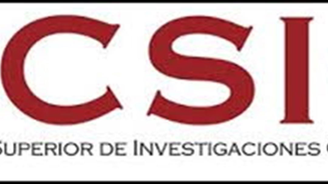 CSIC logo