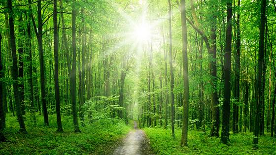 Environmentally friendly composite material product use in production