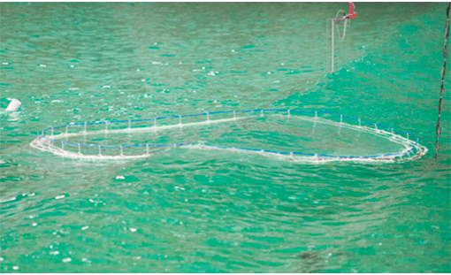 Årets bedrift hedret samarbeidspartnere