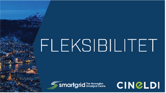 Åpent webinar om fleksibilitet i distribusjonsnettet - Hvordan kan fleksibilitet i nettet bidra til en bærekraftig elektrifisering?