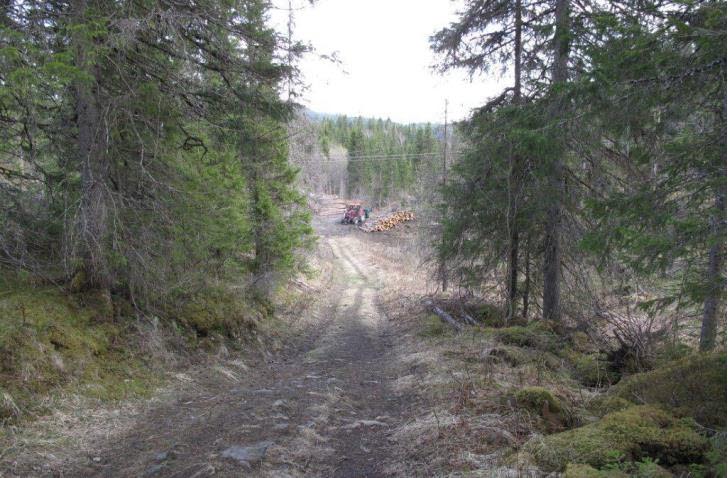 Infrastrukturprogram i kystskogbruket