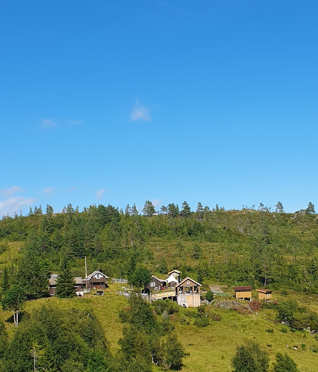 Fjellbeite med hyttefelt