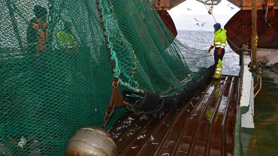 Presentasjoner fra FishTech 2016