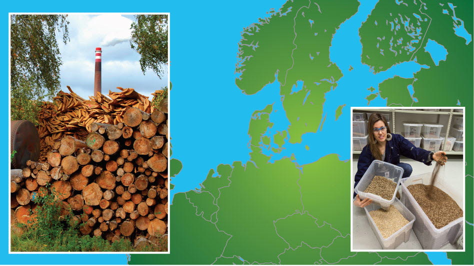 Bioenergimøte på Værnes