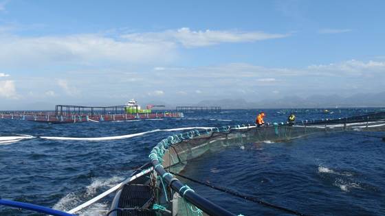 Safe workplaces in aquaculture