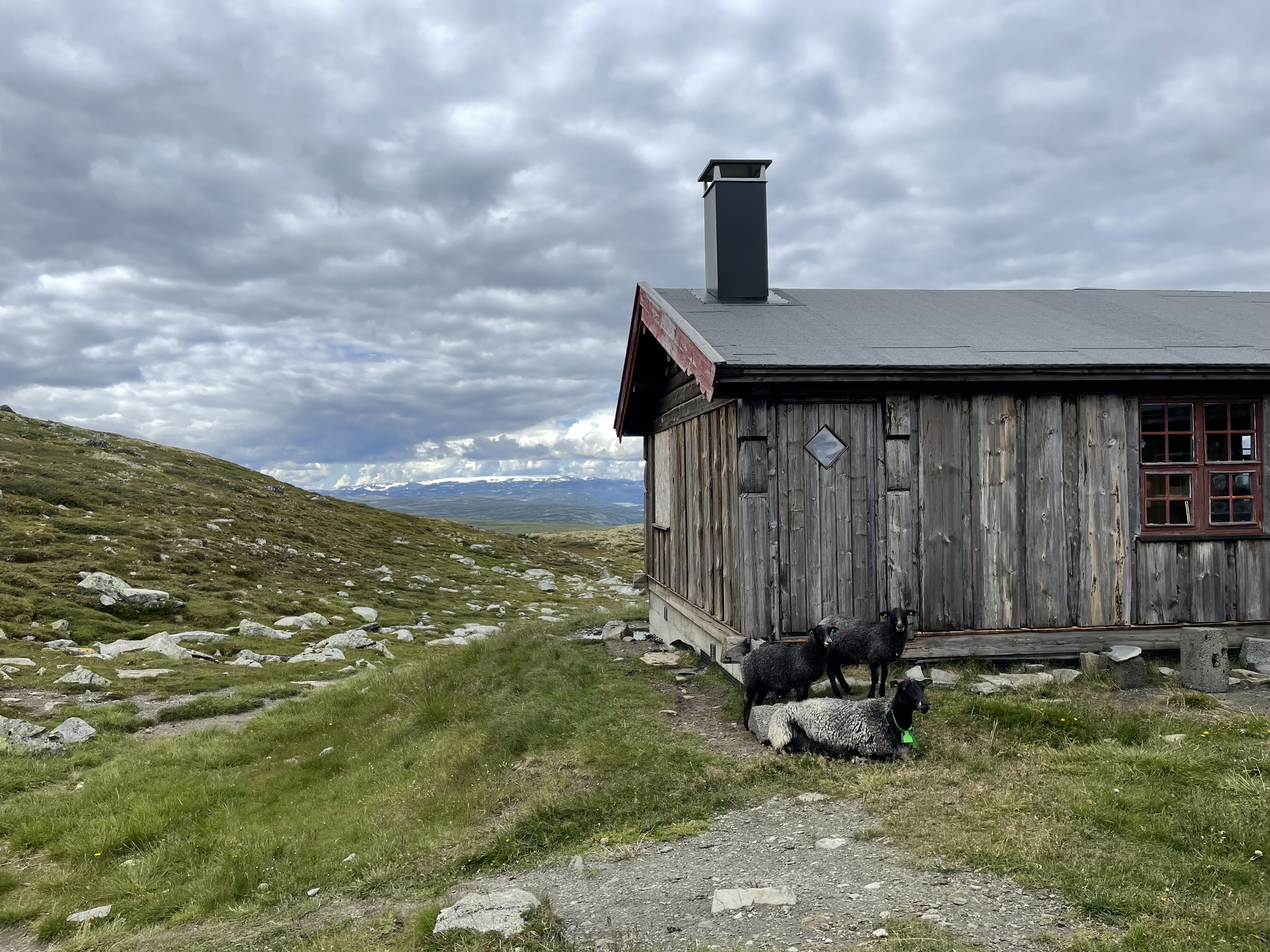 Circular value chain for smart ear tags - CircleTag