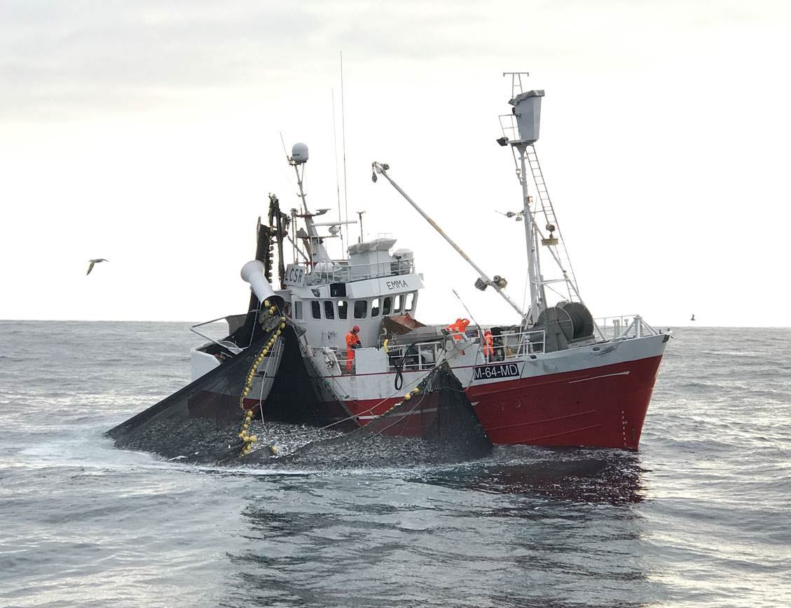 Decision support for fishing vessels based on marine ecosystem models and fishery data