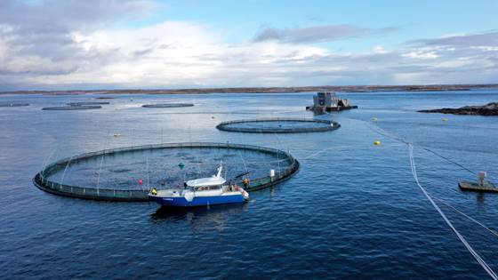 Reducing the climate footprint of the salmon farming industry