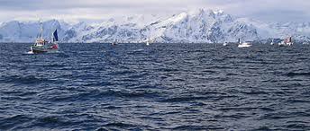 Store marine muligheter i Nord-Norge