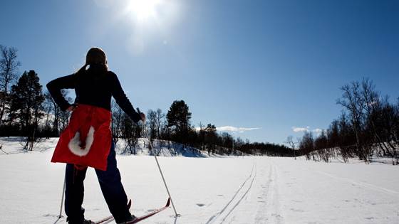 Snow for the Future - Phase II