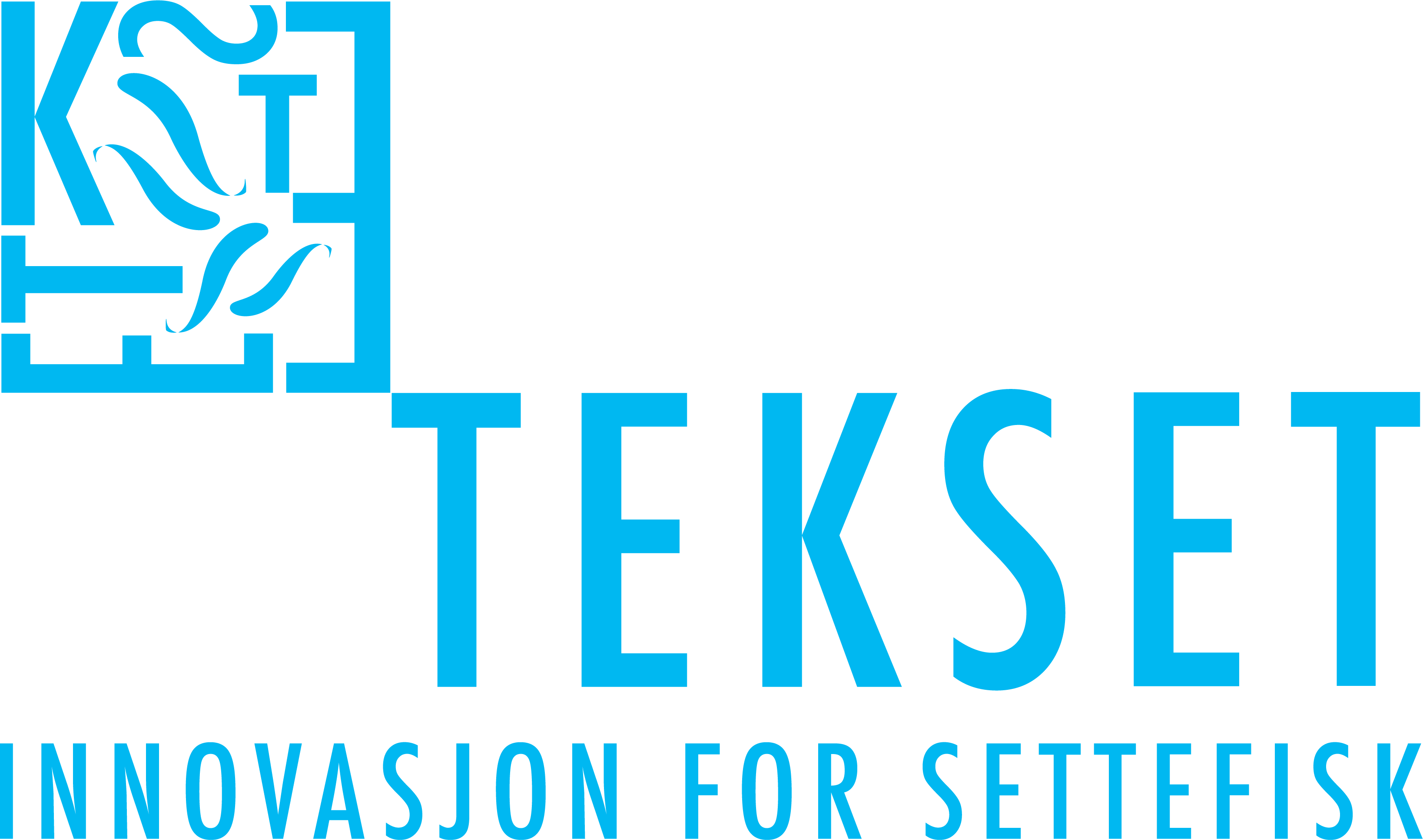 TEKSET logo