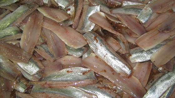 Technology for extraction and sorting of residual materials from herring