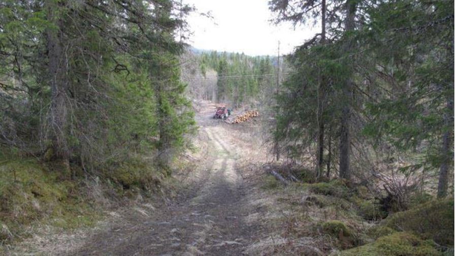 Transportdilemma fra skogindustrien