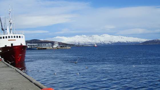 Kvalitet på frosset hvitfisk fra CO2-kuldeanlegg