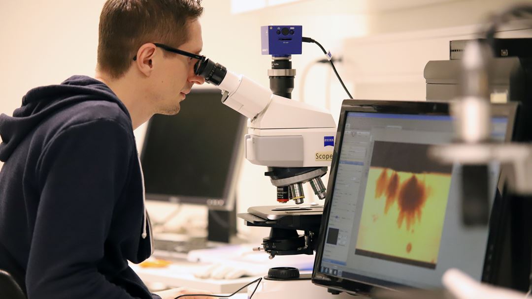 Cédric Lesaint, research scientist at SINTEF, examines a cross-section of subsea cable under a microscope.