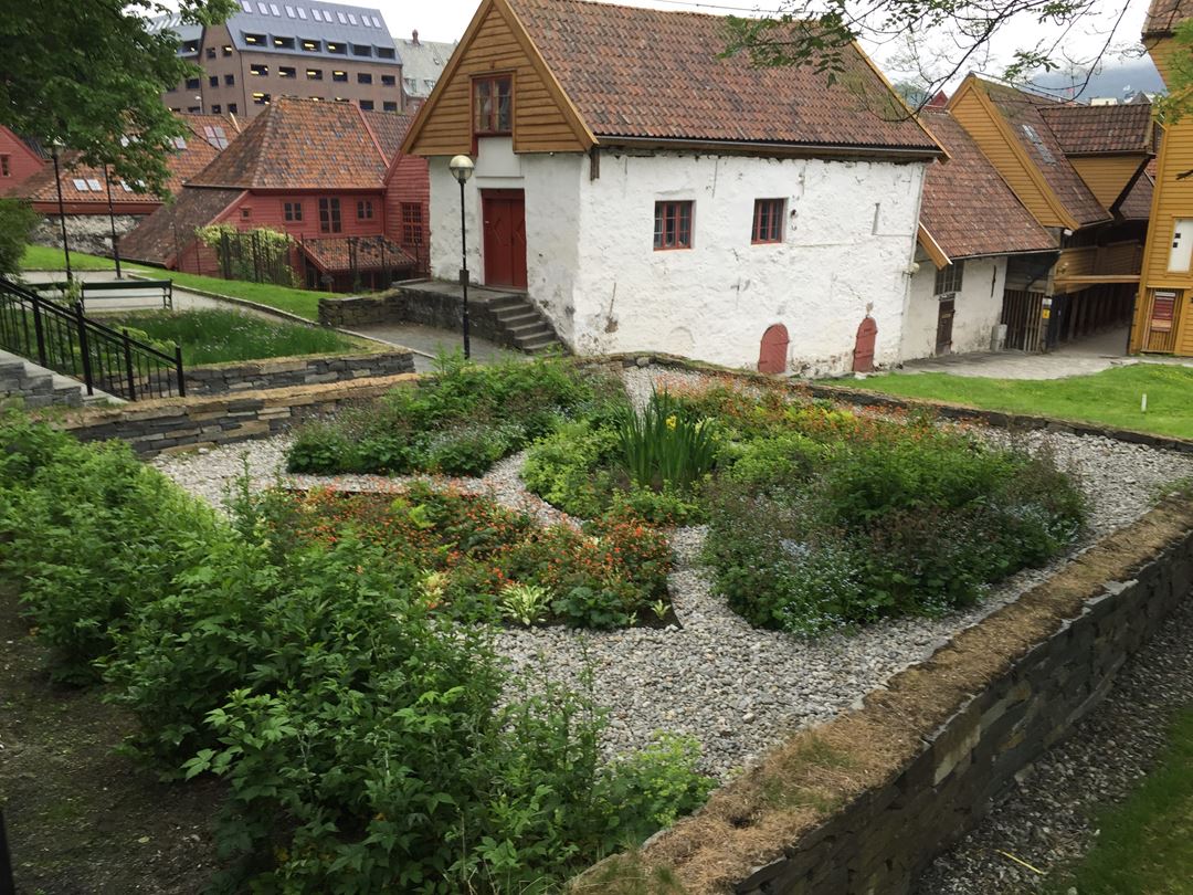 Regnbed foran gamle hus i Bergen