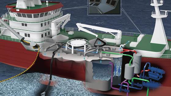 Fremtidens teknologi for håndtering av pelagisk fangst om bord