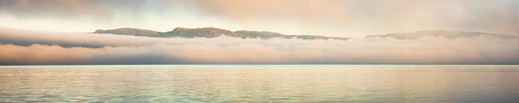 Utforsk vårt mediearkiv