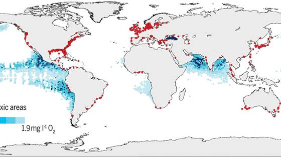 BLUE-GREENWAY: Innovative solutions for improving the environmental status of eutrophic and anoxic coastal ecosystems