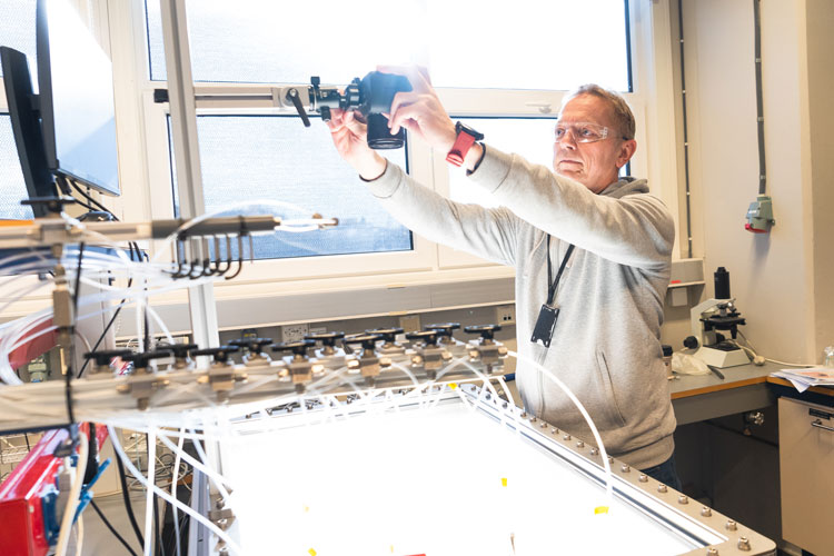 Per Bergmo, research scientist