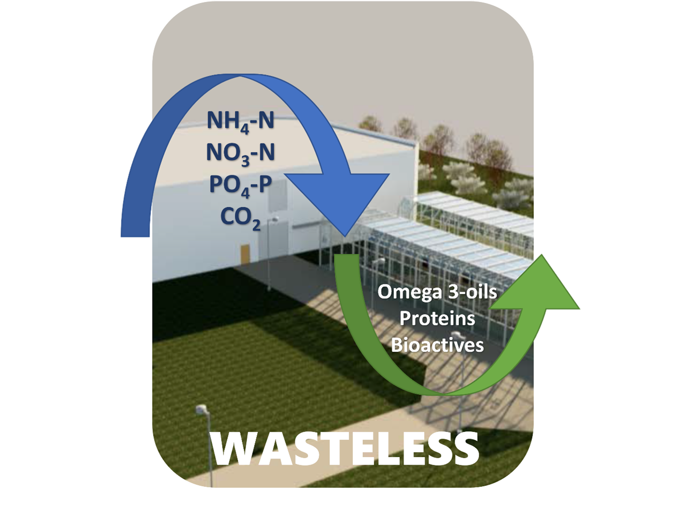 WASTELESS