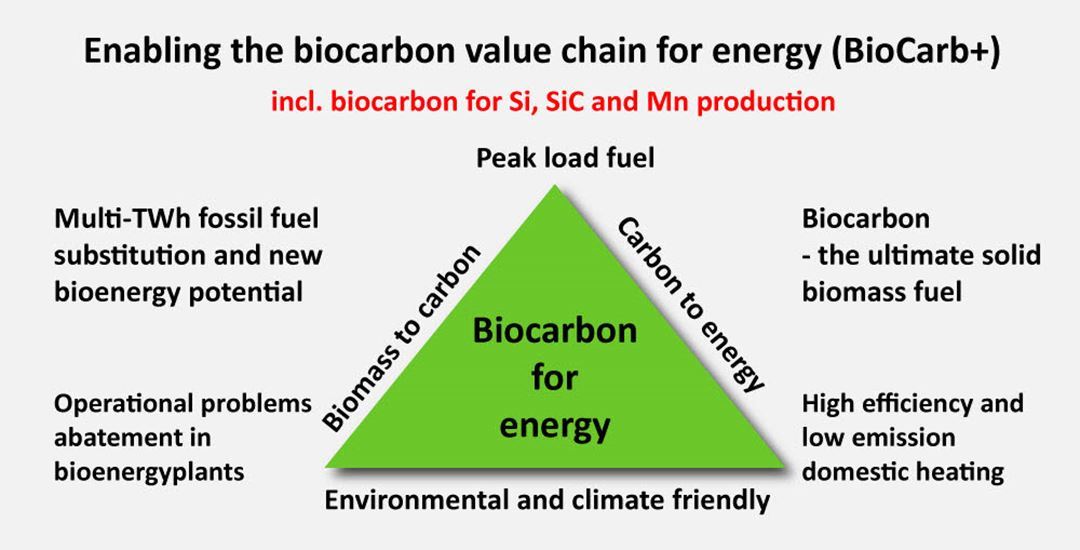 enabling-the-biocarbon-value-chain-for-energy.jpg