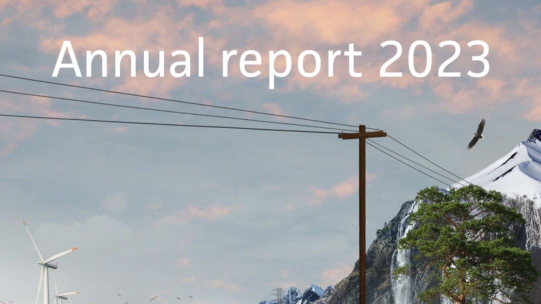 CINELDI 2022 annual report cover