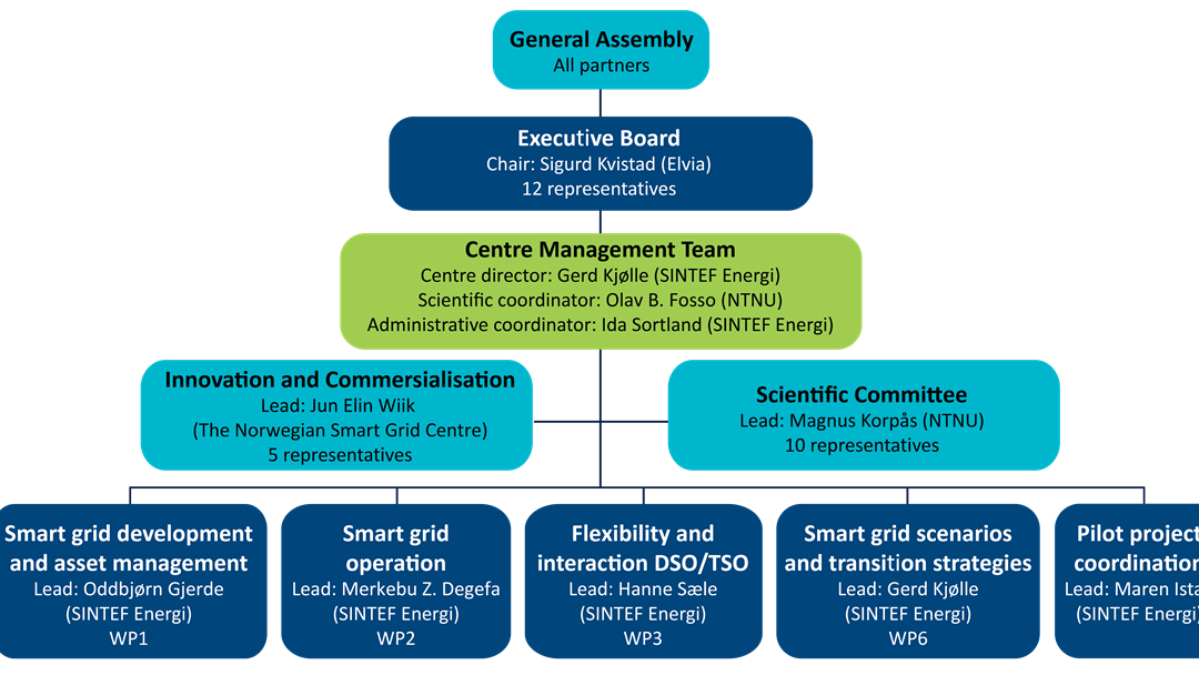 CINELDI organisation