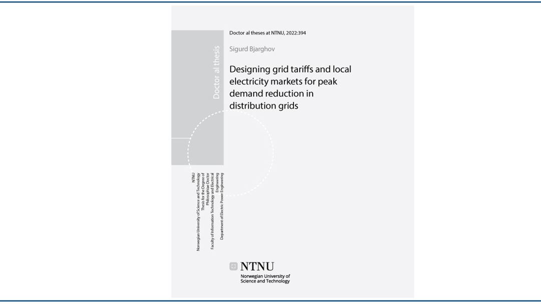 Designing grid tariffs and local electricity markets for peak demand reduction in distribution grids