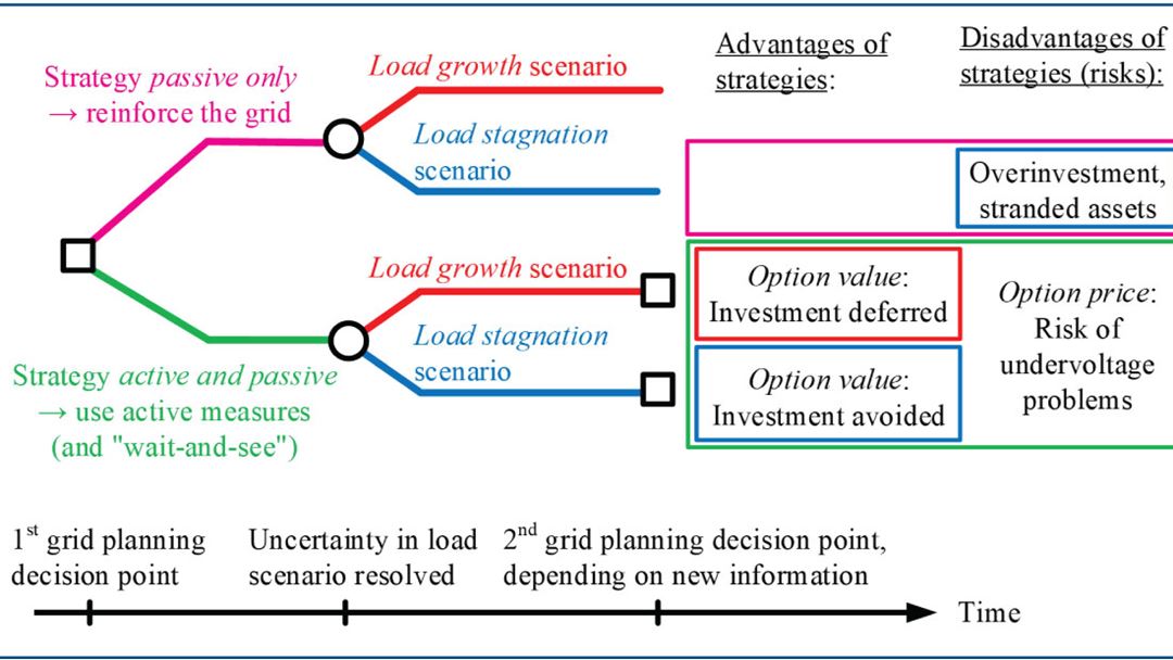 Methodology for evaluating grid development strategies considering real option value and risk