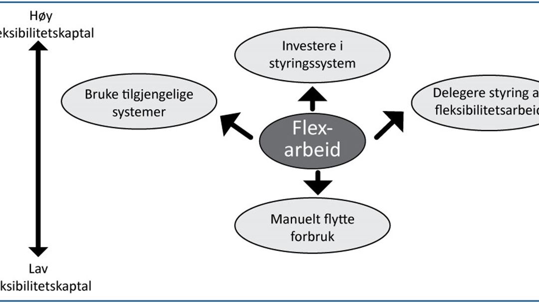 Just Flexibility? The Envisioned Role of End Users in Future Electricity Systems