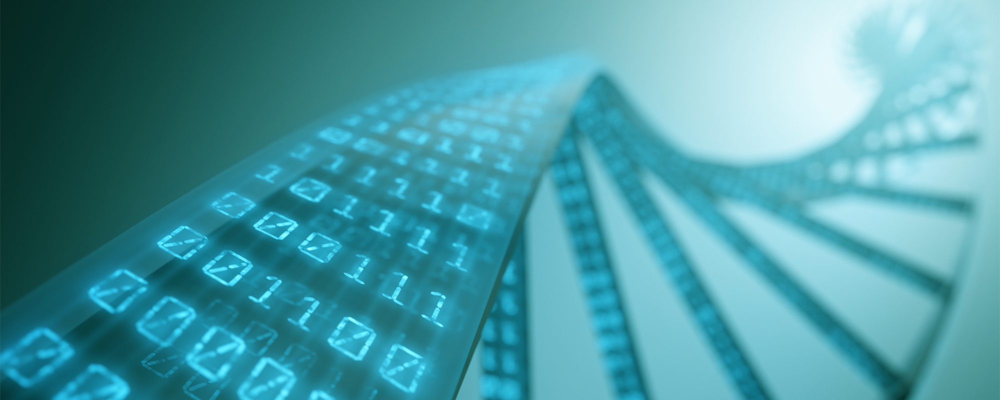 Centre for Digital Life Norway (DLN)