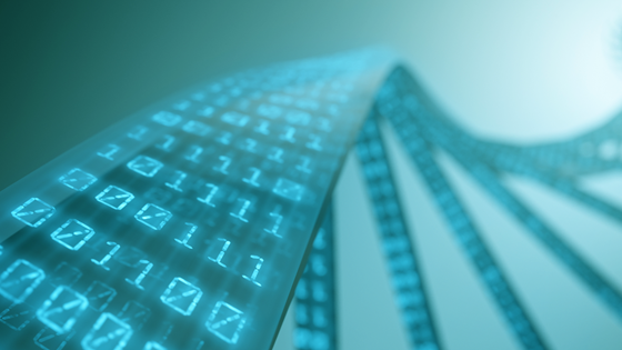 Senter for digitalt liv Norge (DLN)