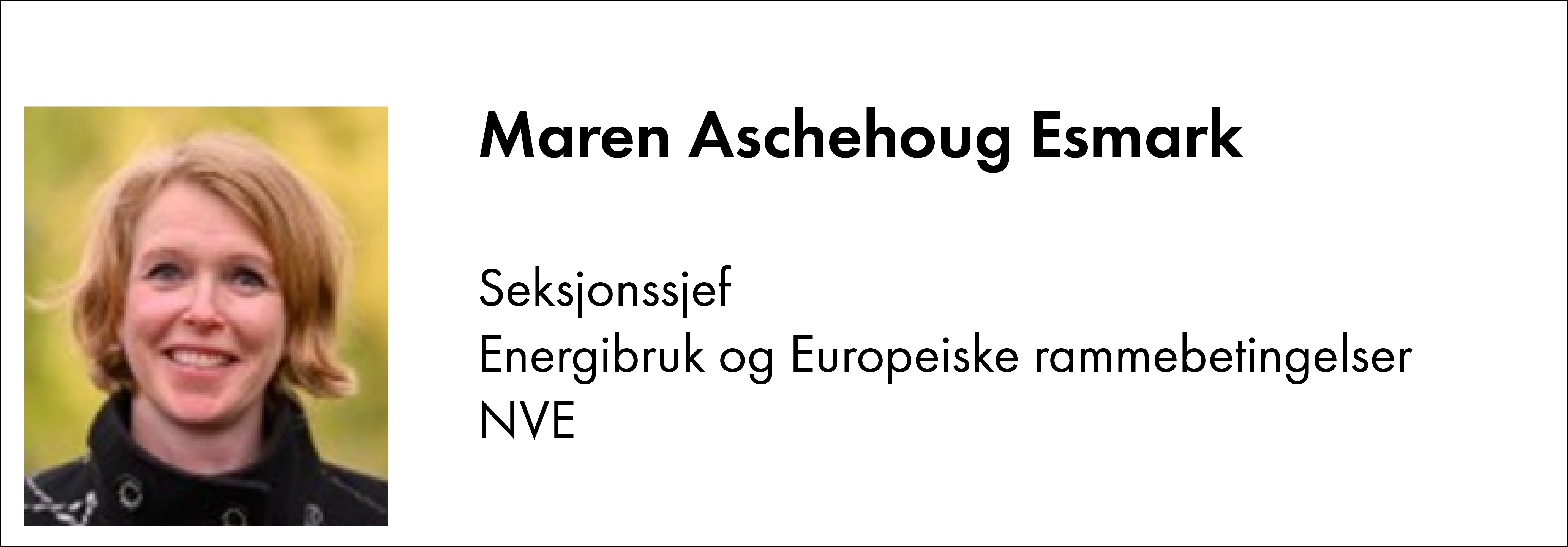 Maren Aschehoug Esmark, NVE