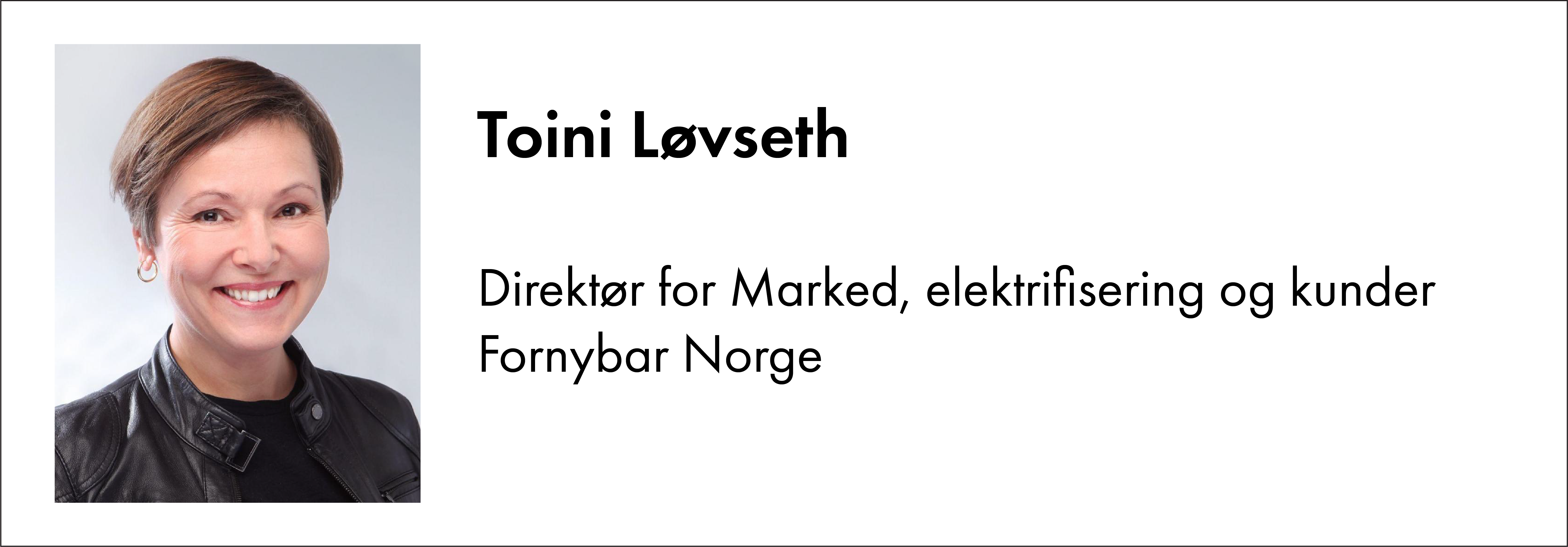 Toinin Løvseth, Fornybar Norge