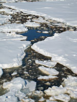 JIP Oil in ice. Experimental oil spill 2009.  From large scale experiments in the Barents Sea. Foto; SINTEF