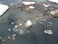 JIP Oil in ice. Dispersion of oil.  From large scale experiments in the Barents Sea. Foto; SINTEF