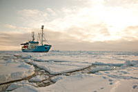 JIP Oil in ice. From large scale experiments in the Barents Sea. Foto; SINTEF