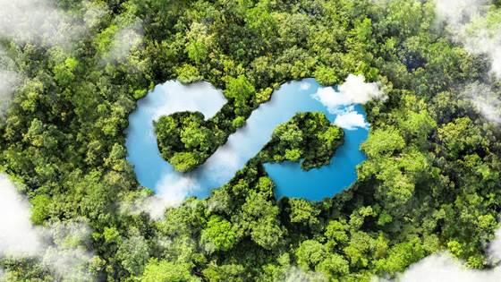 Bioenergi med CCS kan fjerne opptil 16 % av Norges utslipp