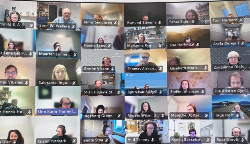 skjermbilde fra møte i teams