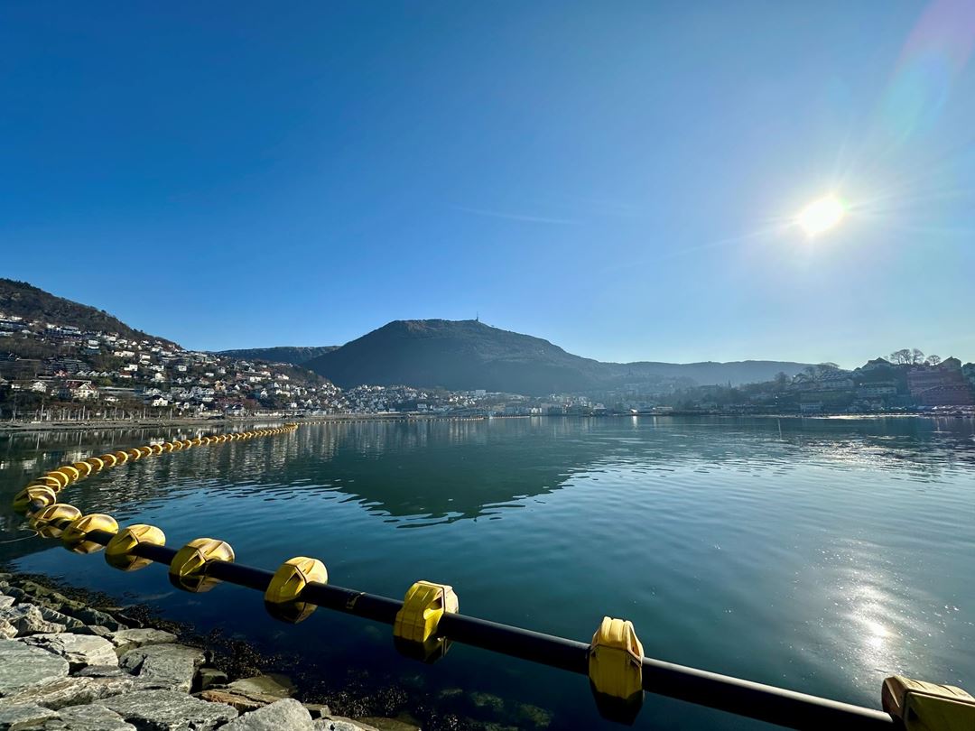 Store Lungegårdsvannet i Bergen