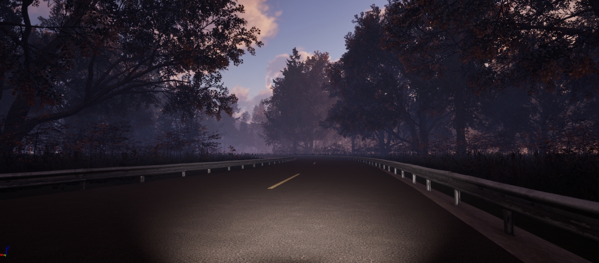 skjermbilde som viser en vei gjennom skogen