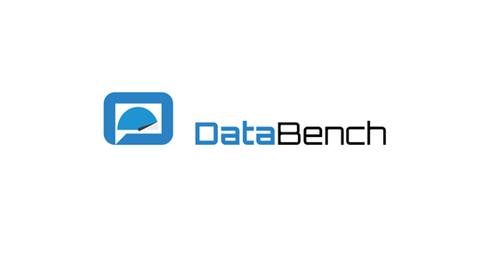 DataBench - Evidence Based Big Data Benchmarking to Improve Business Performance