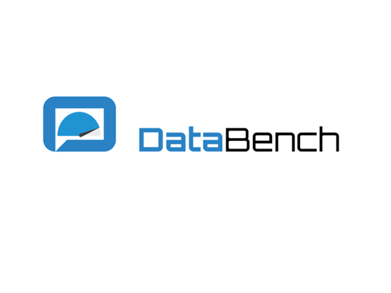 DataBench - Evidence Based Big Data Benchmarking to Improve Business Performance