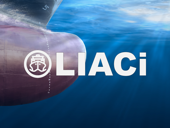 LIACi - Lifecycle Inspection, Analysis and Condition information system