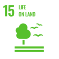 SDG_Icons_Inverted_Transparent_WEB-15.png