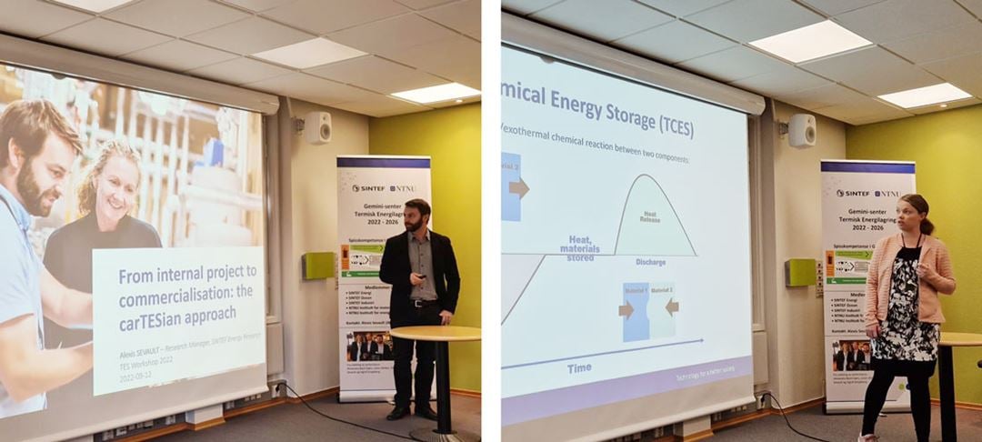 Image showing presentations at the 2022 edition of the Gemini Centre for TES workshop