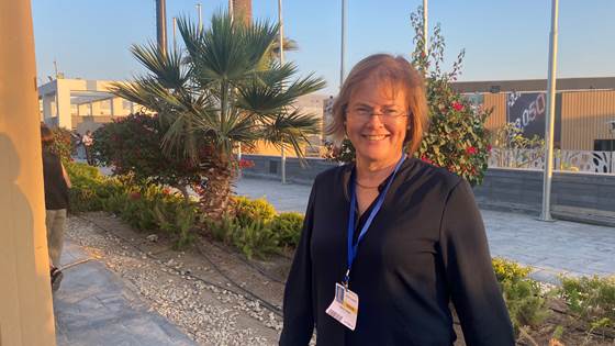 A Global Collaboration to Empower Africa's Energy Future